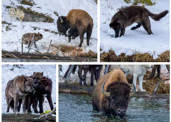 Capturing and sharing dazzling photos of the natural world is Stacy Gessler's calling