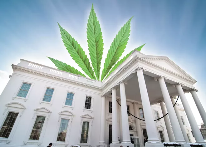 President-elect Trump's unclear policy on cannabis extends to his nominees for government agencies