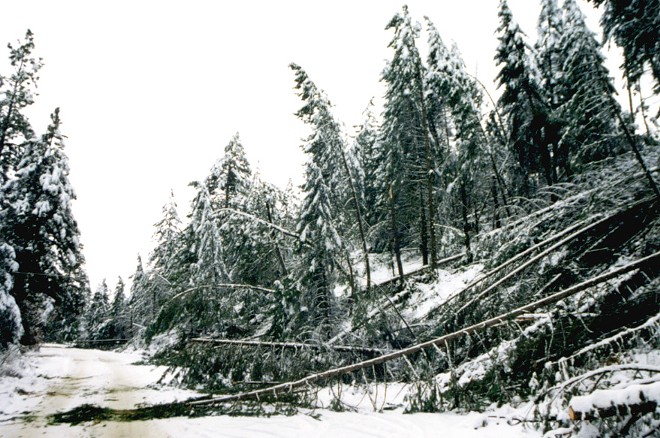 Ice Storm '96 was 20 years ago this week