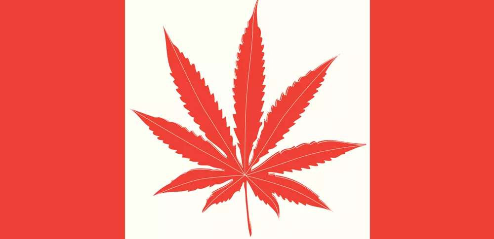 Cannabis, Eh?