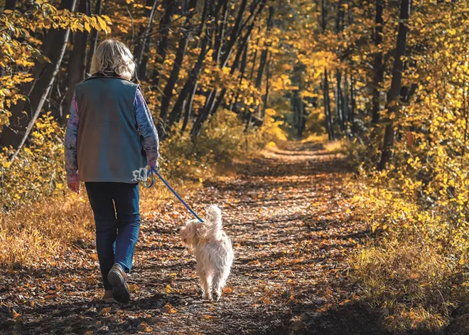 Letting your mind wander can recharge a mental battery drained by directed attention