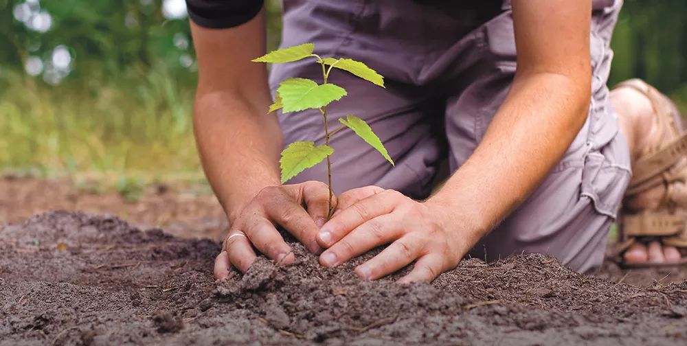 Earth Day Tree Planting