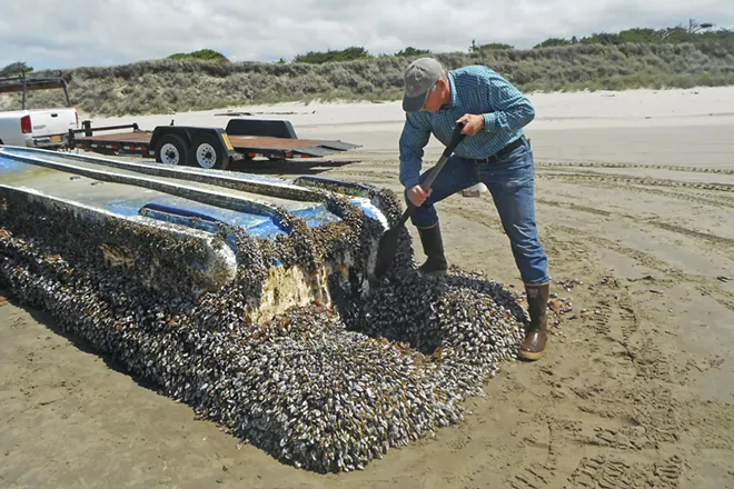 After the Tsunami, Japan’s Sea Creatures Crossed an Ocean