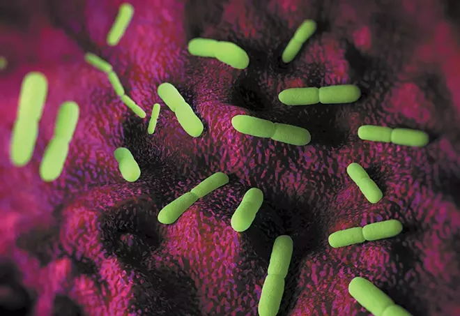 Don't skip lunch, flu season's here, the world is running out of antibiotics