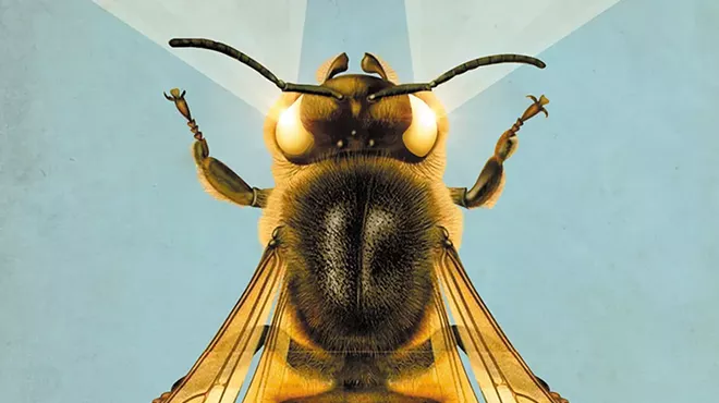 Building a Better Bee: Can we harness the microbes in bee guts to create stronger bees?