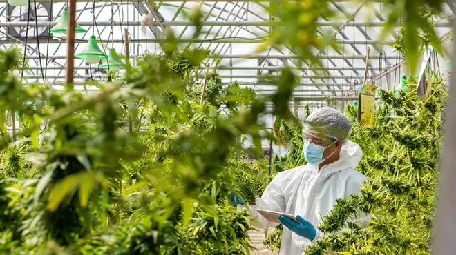 More research is needed to understand the impacts of legal recreational cannabis