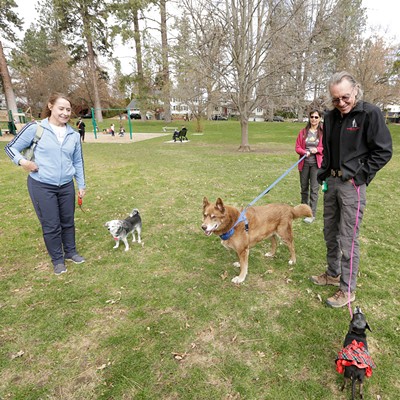 Sixteen volunteers at Spokane Humane Society resign over disagreements with new leadership