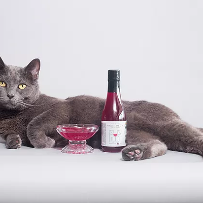 CAT FRIDAY: Our exclusive guide to gifts for the cats and cat people you know