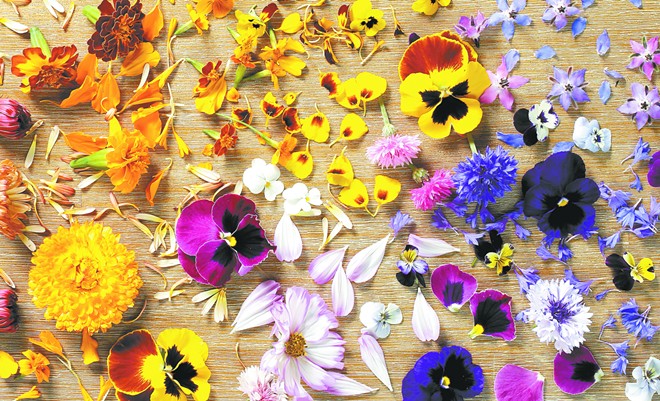 Edible Flowers: A Banquet of Blooms