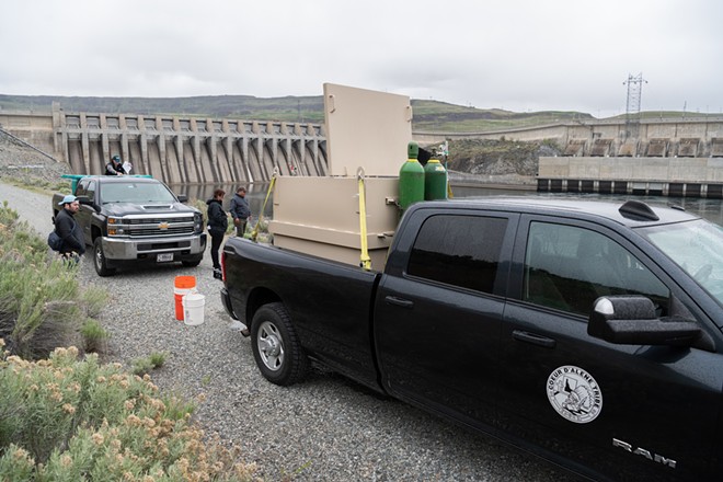 Photos from Inland Northwest tribes' salmon release at Chief Joseph Dam in Central Washington