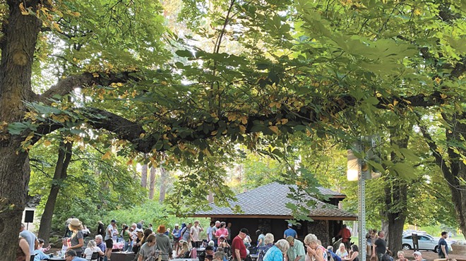 Under the Trees Concert Series