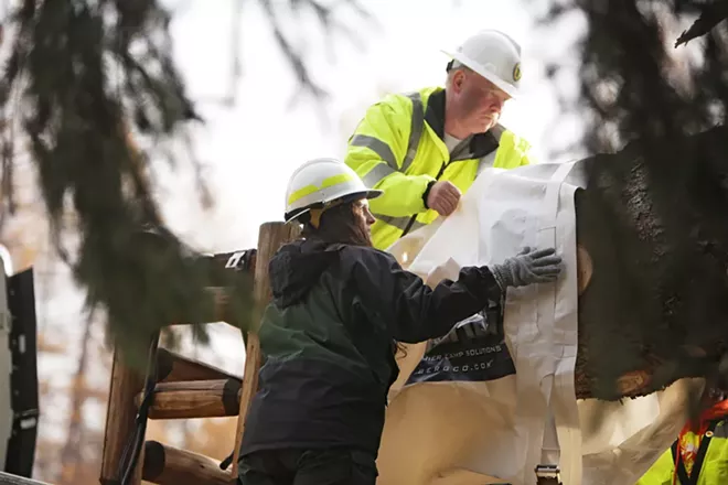 PHOTOS: U.S. Capitol Christmas Tree Cutting