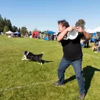 Image: Valleyfest