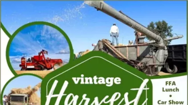 Image: Vintage Harvest 2024
