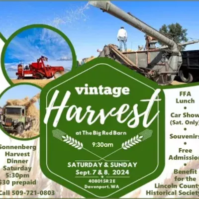 Image: Vintage Harvest 2024