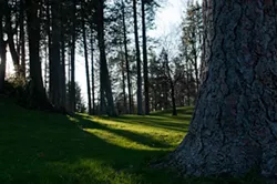 WANDERLUST: Parks and the Power of Observation