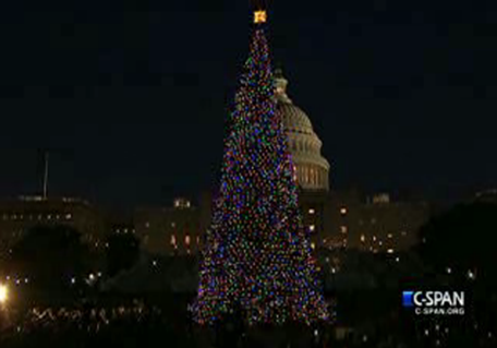 Watch the Capitol Christmas Tree lighting ceremony