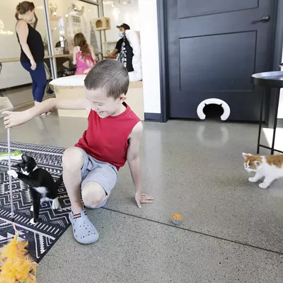 Image: We make a visit to Kitty Cantina, Spokane's first cat cafe