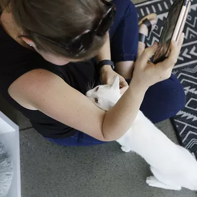 Image: We make a visit to Kitty Cantina, Spokane's first cat cafe