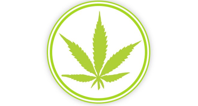 Weed Wednesday: State licensing, AirTHC and other marijuana news