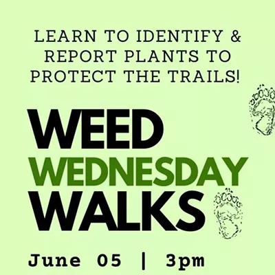 Image: Join Us on Weed Wednesday Walks!