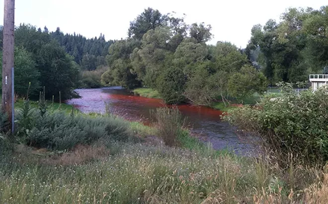 Why the Little Spokane River looks red