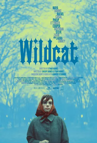 Image: Wildcat