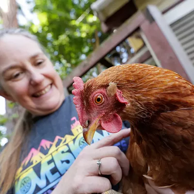 Image: With backyard chickens, a pet can produce love, life lessons — and breakfast