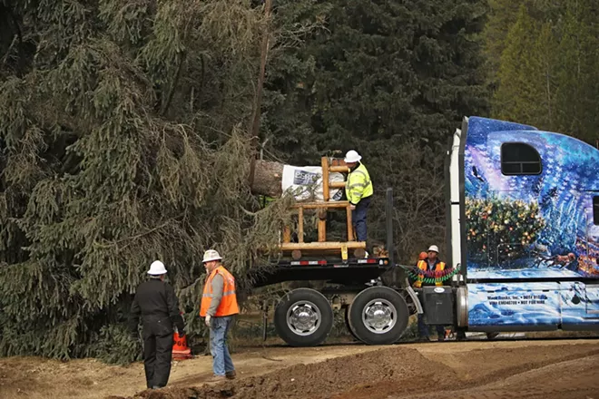 PHOTOS: U.S. Capitol Christmas Tree Cutting